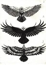 Bird Of Prey Tattoo Designs 403 Forbidden Crow Tattoo Crow Tattoo Design Eagle Tattoos