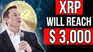 Elon musk went from cryptocurrency hero to villain with bitcoin tweet one tweet from elon musk caused the world of cryptocurrency to go into meltdown. Elon Musk Reveals When Xrp Ripple Hit 3 000 I Xrp Price Prediction Xrp News 2021 Youtube