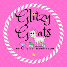 نتیجه جستجوی لغت [glitzy] در گوگل