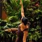 Planted - Pilates at Eden event image