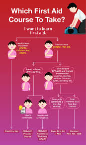Free bls certification with medtigo. Basic First Aid Course The Y Guide