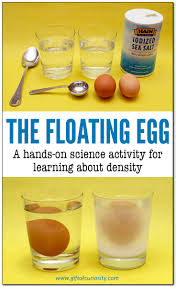 the floating egg {hands on density