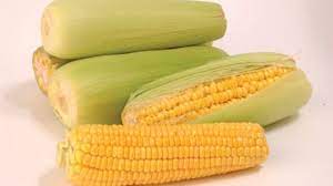 We did not find results for: 13 Manfaat Jagung Untuk Ibu Hamil Yang Sehat Hamil Co Id