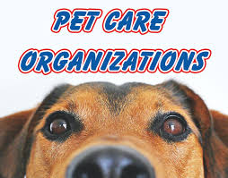 Toledo pet care services that go above and beyond. Pet Care Organizations Wkko Fm