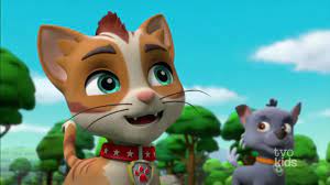 Wild Cat Paw Patrol Explore Tumblr Posts And Blogs Tumgir