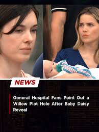 So Willow is just there lying down. No fluids, no fetal monitor to monitor  her baby…no nothing…just an empty room with a small monitor that you can't  even see hr, rr, spo2,