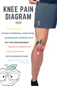 Pin On Physiotherapy