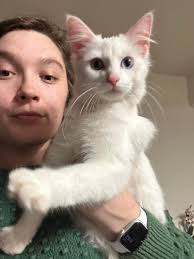 Pensacola Pets Lost and Found