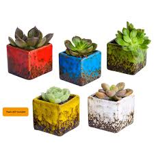 We have created this post to help you learn how to improve the drainage in your potted. Dawnlam Inches Ceramic Ice Crack Small Cute Succulent Plant Pots Cactus Plant Pot Flower Planter Pot With Drainage For Home And Kitchen Decoration 2inch Buy Online In Bahamas At Bahamas Desertcart Com Productid 85477141