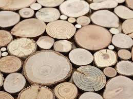 Wood Wall Hanging Tree Round Wood Slice Wall Boards Set Of 2 Etsy Inspirasjon
