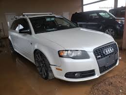 Image result for Ibis White 2008 A4