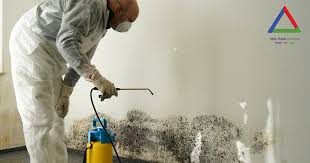 Utah Flood Cleanup - Mold Removal and Remediation Services
