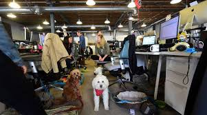 Chandler resumes his smoking habit. How Did Bring Your Dog To Work Day Become A Thing Marketplace