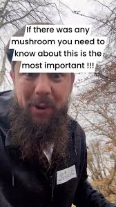This is life saving mushroom information you need to know and learn about  for you or somebody you know this is so important you get educated and  become confident in foraging for this!!!