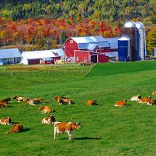 Profile for Badeland Dairy