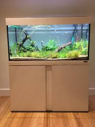 38fa0edbe51e4ff49c02b8daf376ae69 1152 1536 Freshwater Aquarium Plants Aquarium Fish Tropical Fish Aquarium