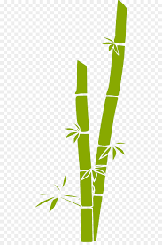 Bamboo Clipart Bamboo Wallpaper Bamboo Bamboo Wallpaper Transparent Free For Download On Webstockreview 2021