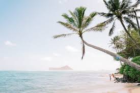 Find what to do today or anytime in august. Traveling To Hawaii Be Prepared To Pay The New York Times