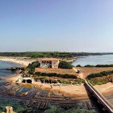 images?q=tbn:ANd9GcSck2mG3fWSrTbm6chEEIi