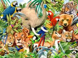 Jungle Animals One Wallpapers Whats Your Spirit Animal Animals Tropical Animals