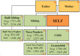 understanding genetics