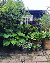 Pin By Tracey Gillie On Garden Urban Garden Shade Garden Cottage Garden