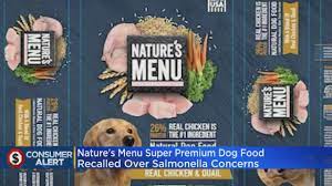 Dog Food Recalled Over Salmonella Contamination Concerns Youtube