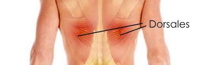 Maybe you would like to learn more about one of these? La Espalda La Mas Sufridora Gran Pausa