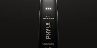 Image result for Phyla