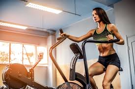 Sold and shipped by 365 cycles. The Schwinn Ad2 Airdyne Exercise Bike A Comprehensive Review The Home Gym