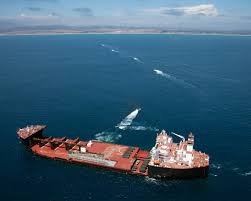 Image result for Blue 1995 AAV