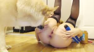 Puppy training - Zoo sex porn - Zoosexnet
