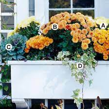 We did not find results for: 31 Gorgeous Fall Container Garden Ideas To Try Right Now Fall Container Gardens Fall Flower Boxes Window Box Flowers