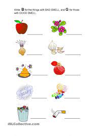 Good Smell And Bad Smell Kindergarten Worksheets Preschool Worksheets Kindergarten Worksheets Printable