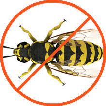 These methods are used primarily for crop growing, but some methods can be applied to homes as well. Spokane Pest Control Spokane Valley Cheney Ecotek Pest Control