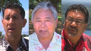VIDEO: Three Democrats Vie For Hilo's State Senate Seat