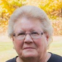 Sharon Lee Topy Obituary (2024)