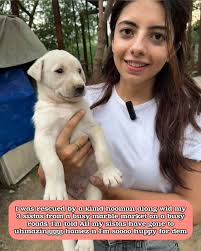 Please consider donating for her treatment 🙏