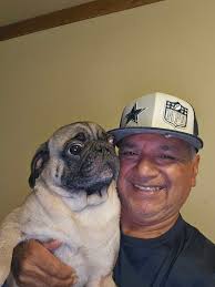 Yankees Baseball Team Support and Discussion