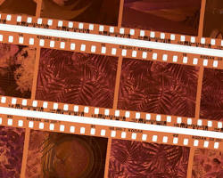 Imagen de revelado de un carrete de fotos en color