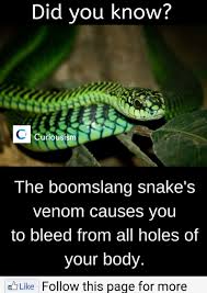 Amazing Animal Science Facts That Ll Get You Mind Blown Snake Facts Animal Facts Facts