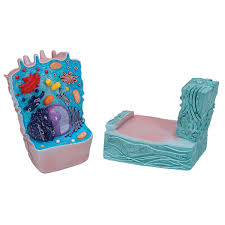 One half has labeled parts: Animal Cell Model Animal Cell Teaching Model Plastic Animal Cell Biology Teaching Models