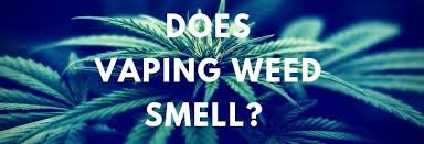 Dry herb vape pens are an excellent choice as the dry herb is more potent and requires a lesser amount compared to the fresh one. Does Vaping Weed Smell The Definitive Answer Veppo