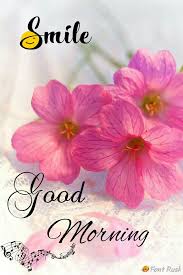 Good Morning Good Morning Flowers Good Morning Beautiful Pictures Good Morning Images Flowers