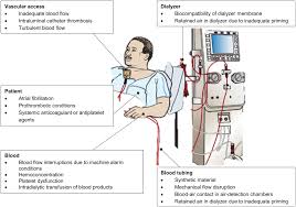 The machine must be in volume control.• insert a filled venous drip chamber in the level detector.• a: Anticoagulation In Hemodialysis A Narrative Review Claudel 2021 Seminars In Dialysis Wiley Online Library