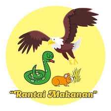 Ketika kita mempelajari pengetahuan alam. Animasi Siklus Rantai Makanan Apl Di Google Play
