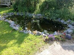 Ihre spezialisten rund um den garten. Teichbau Garten Und Landschaftsbau Baumschule Daniel Pastors In Willich