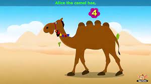 Players can insult her by saying i wonder if that camel has fleas. Alice The Camel Nursery Rhyme With Karaoke Video Dailymotion