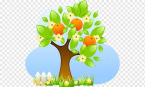 Fruit tree flower, 1024 x 768. Fruit Tree Citrus Material Orange Tree Citrus Branch Computer Wallpaper Png Pngwing