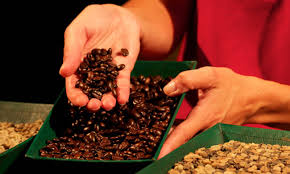 The requested url was rejected. Cafe Britt Tour A Costa Rica Coffee Tour